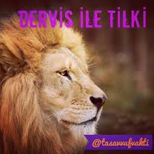 DERVİŞ İLE TİLKİ